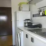 Luxurious Apartments For A Family